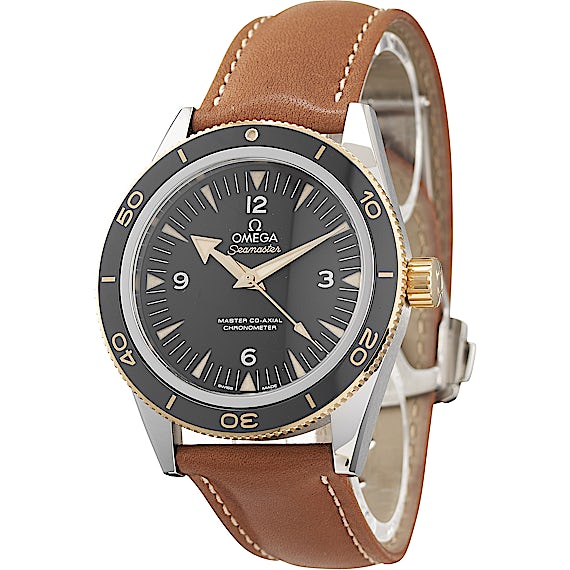 Omega Seamaster 233.22.41.21.01.001 Omega Seamaster 233.22.41.21.01.001