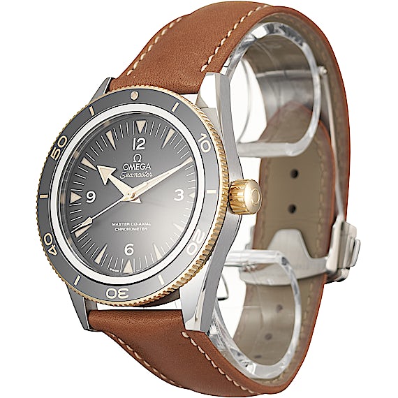 Omega Seamaster 233.22.41.21.01.001 Omega Seamaster 233.22.41.21.01.001