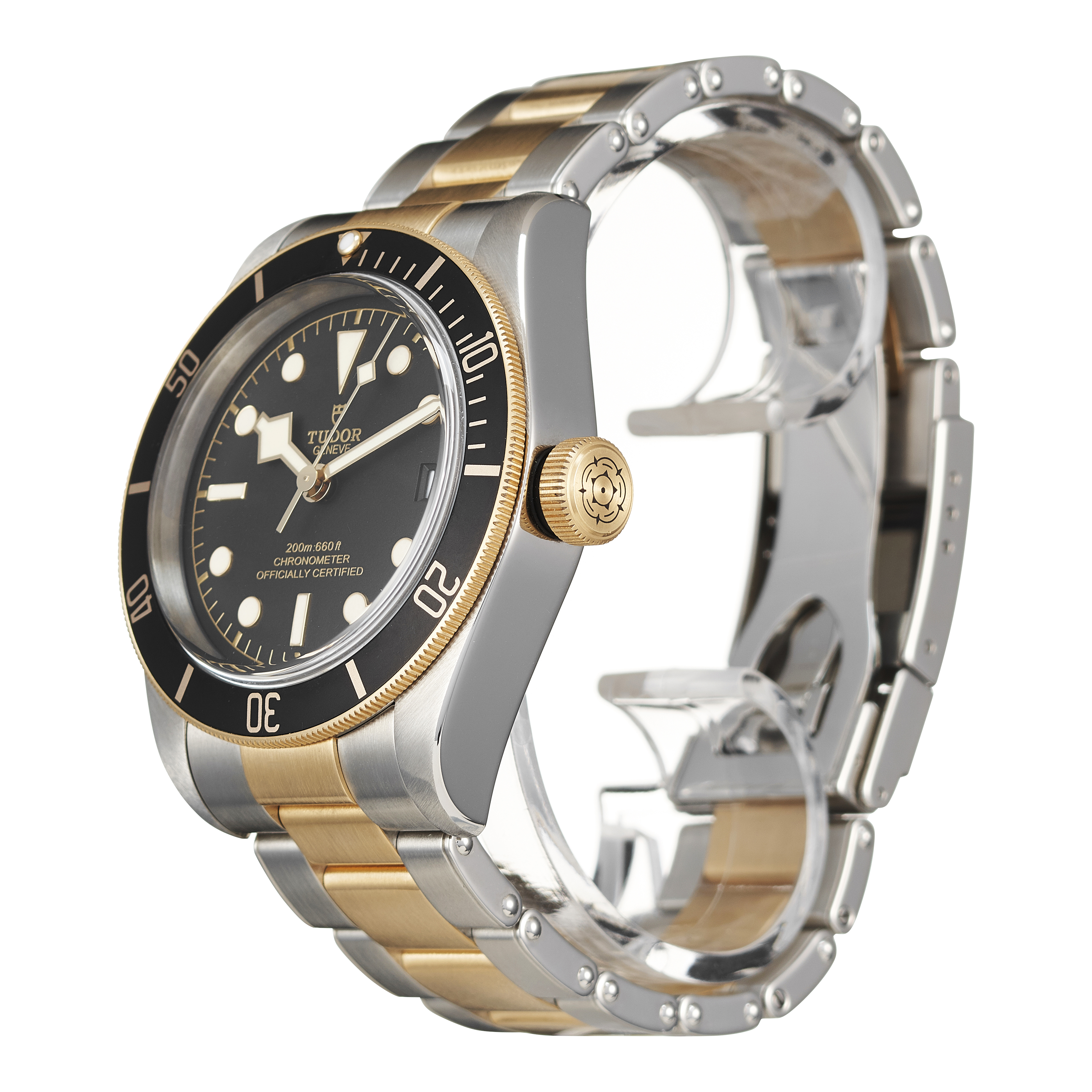 Tudor Black Bay 79733N