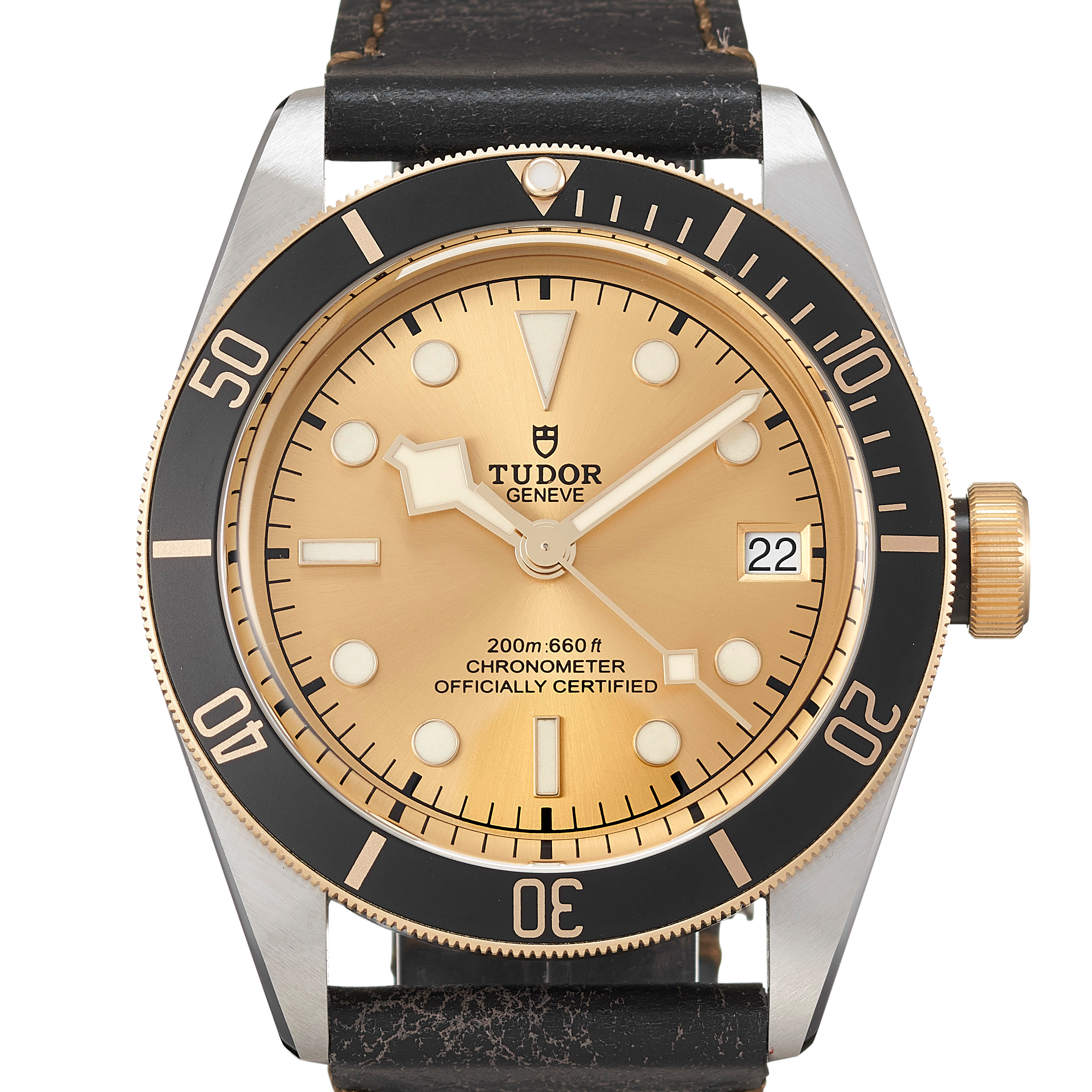 Tudor Black Bay 79733N