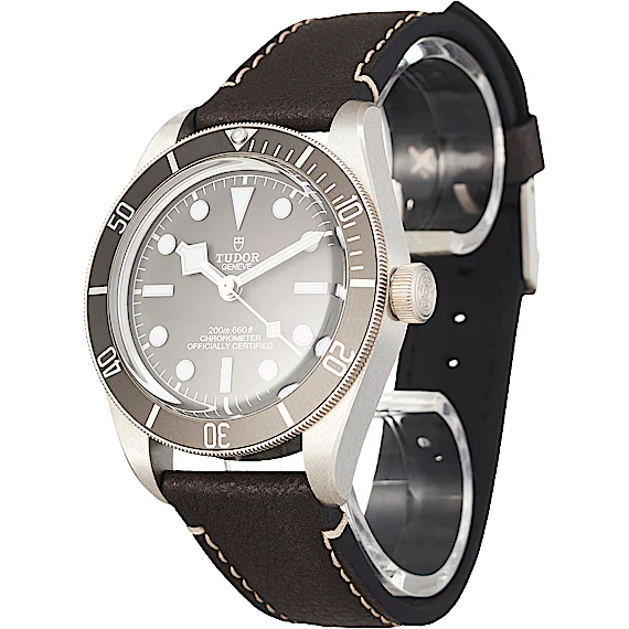 Tudor Black Bay 79010SG Tudor Black Bay 79010SG