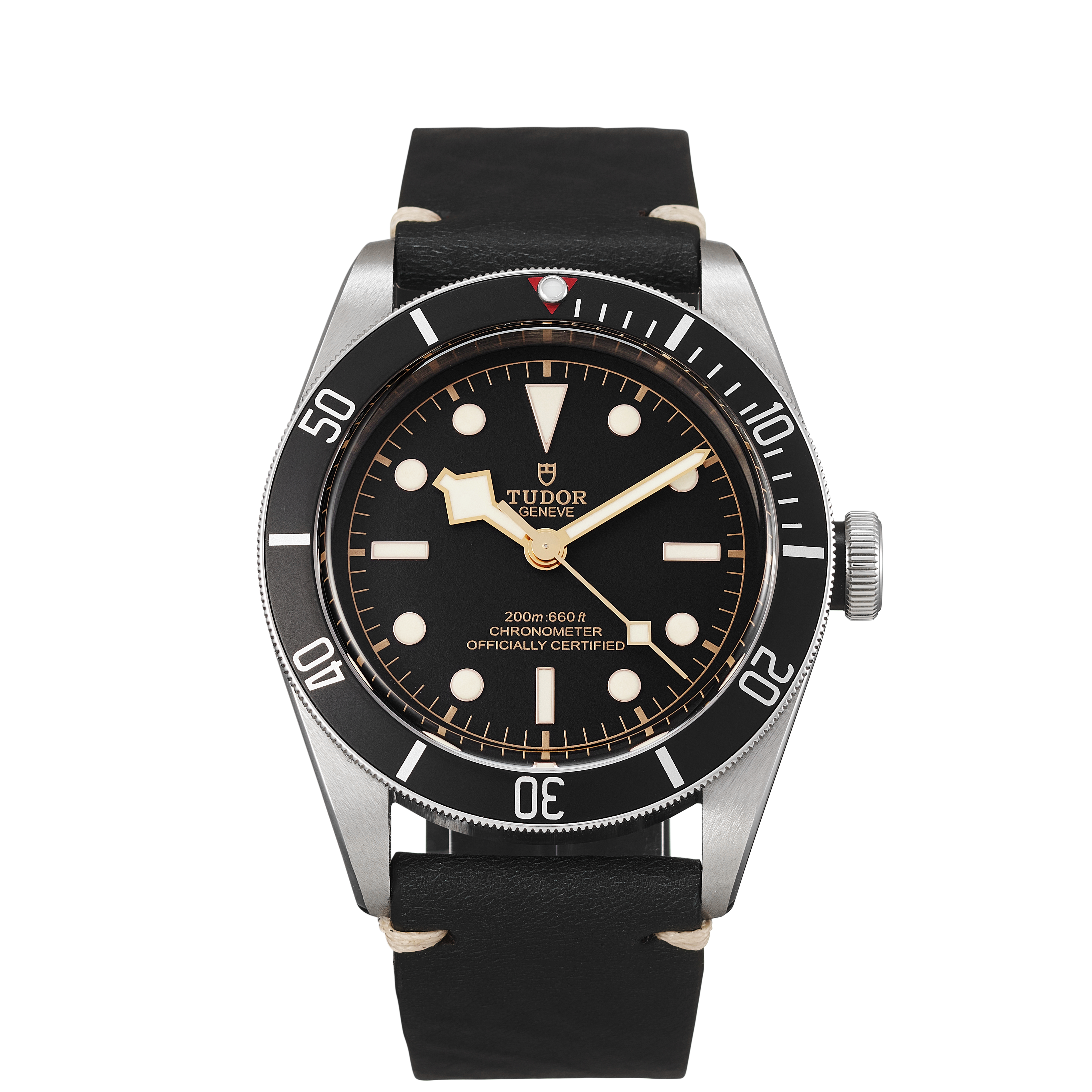 Tudor Black Bay 79230N