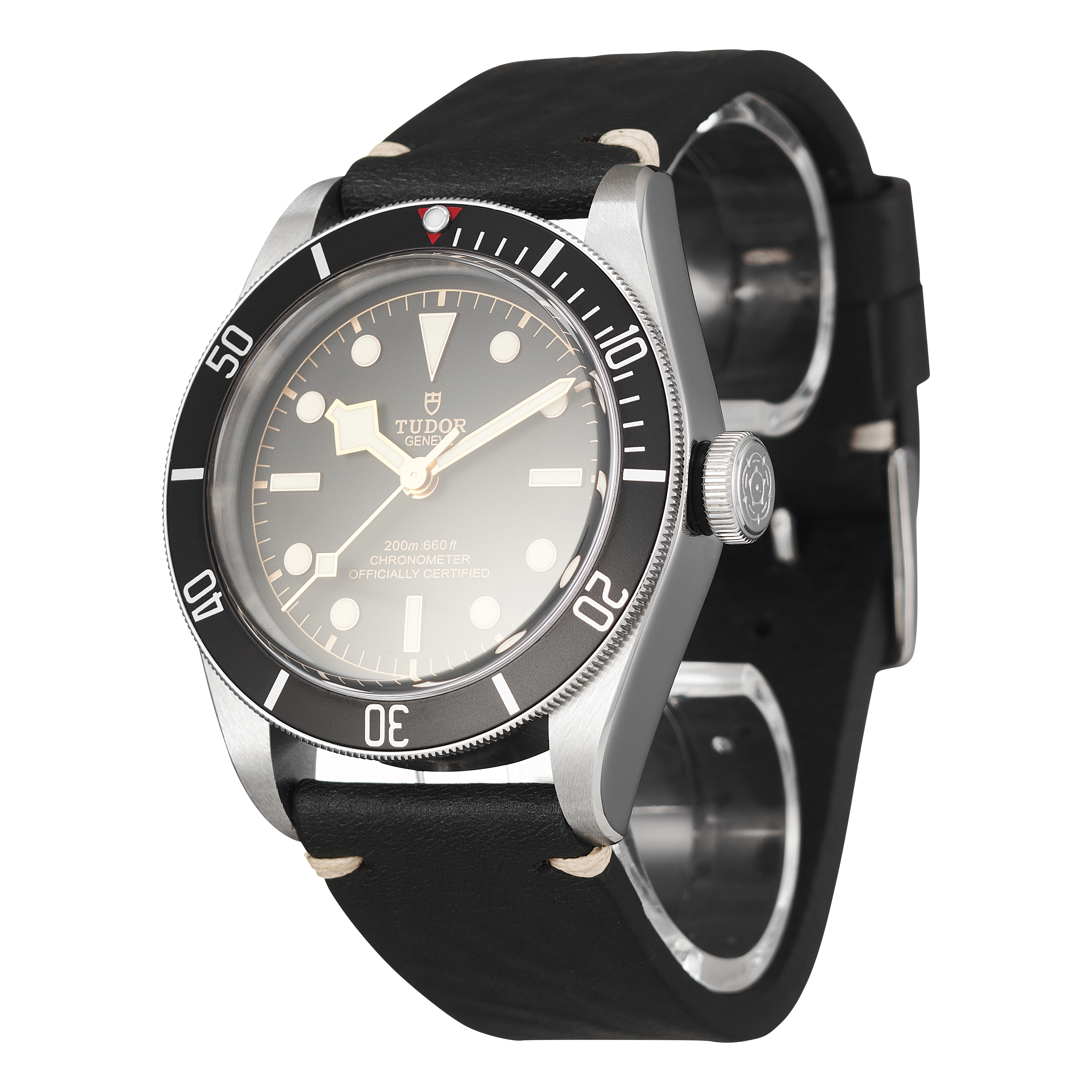 Tudor Black Bay 79230N