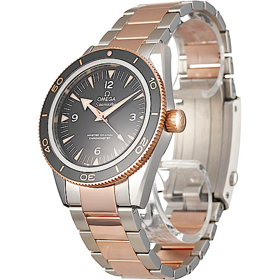 Omega Seamaster 233.20.41.21.01.001 Omega Seamaster 233.20.41.21.01.001