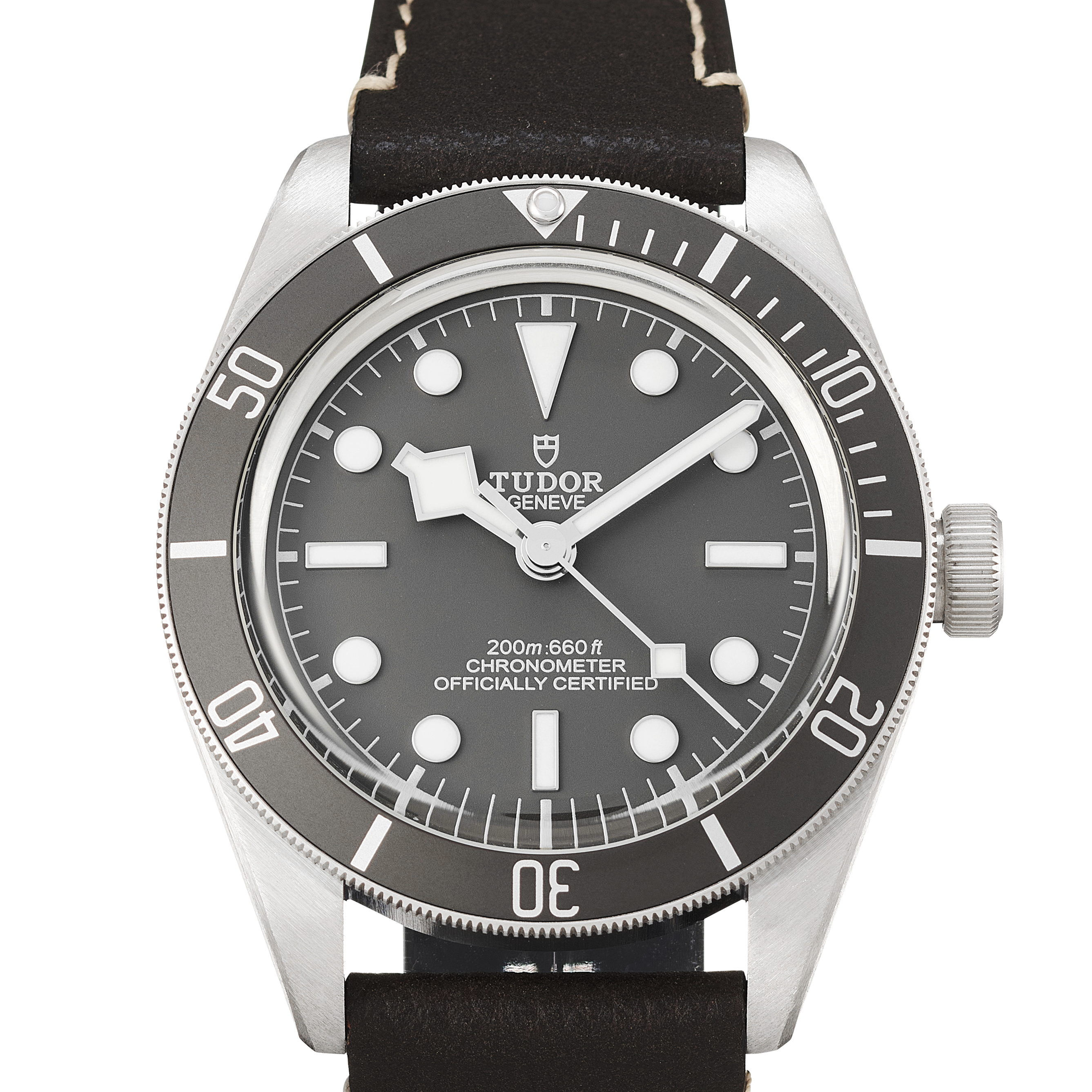 Tudor Black Bay