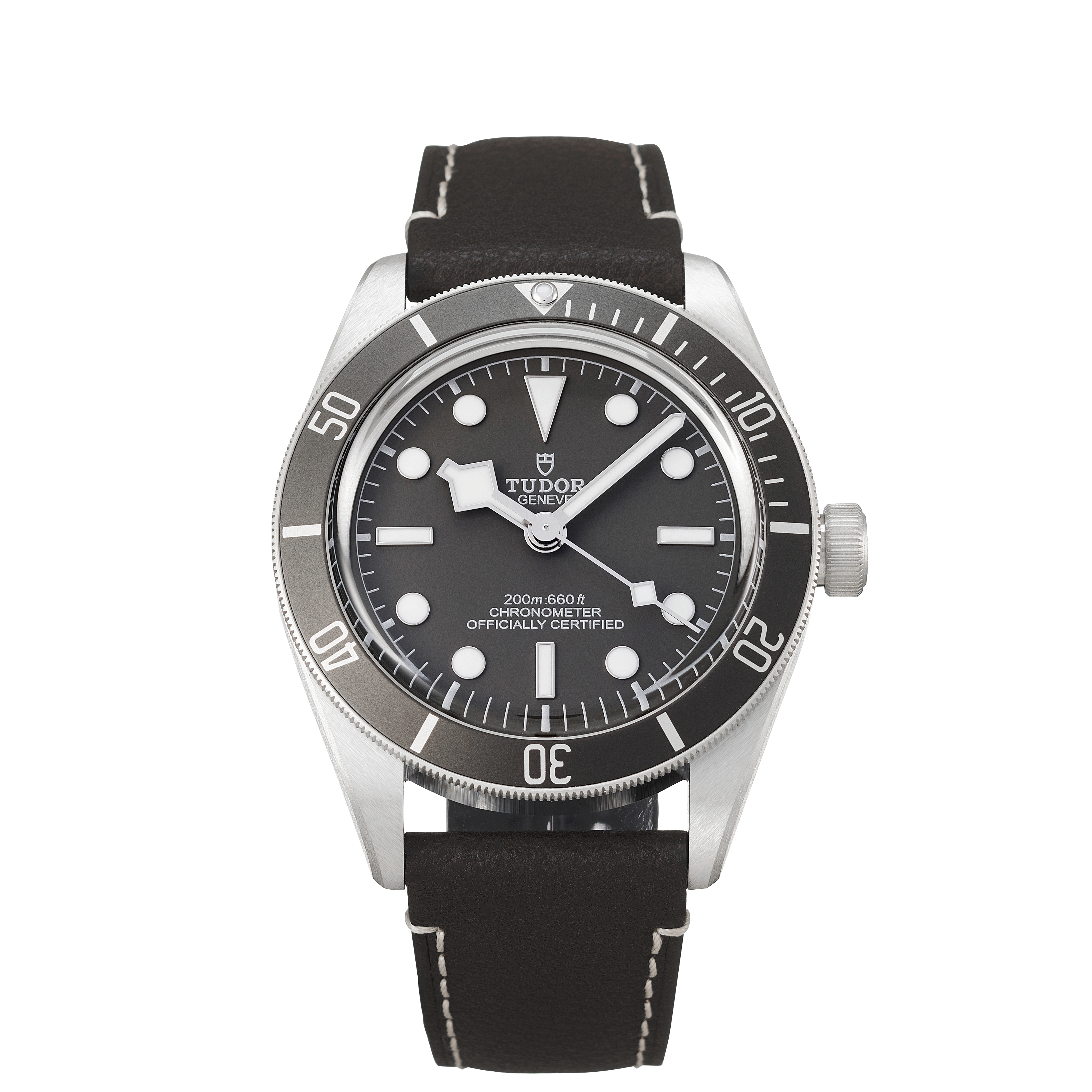 Tudor Black Bay 79010SG