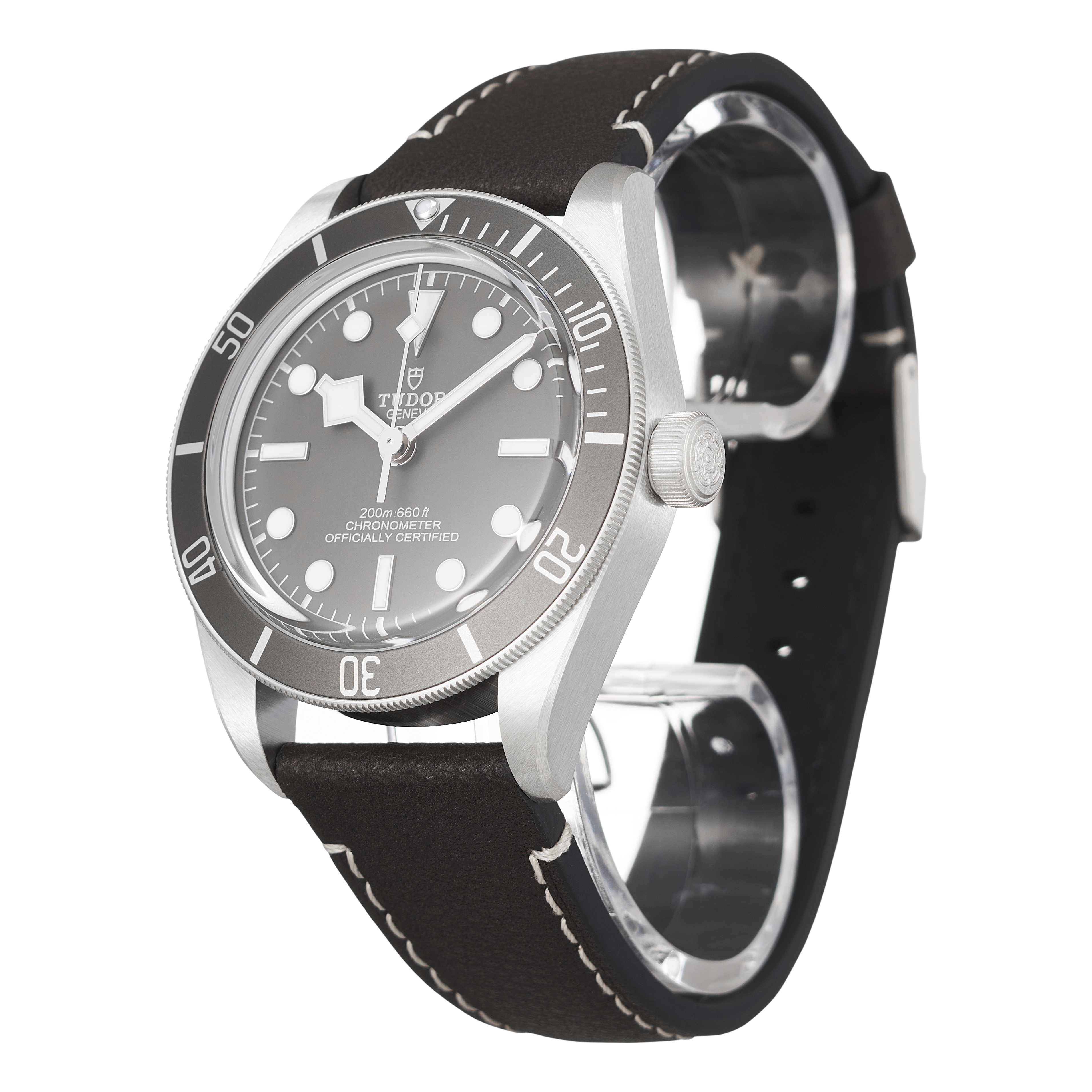 Tudor Black Bay 79010SG