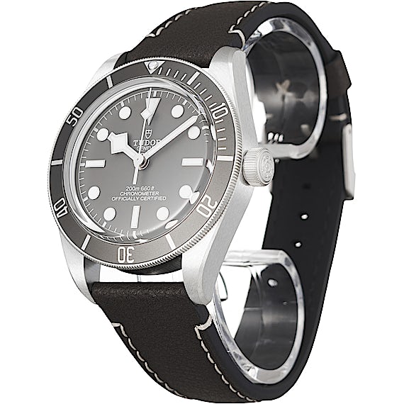 Tudor Black Bay 79010SG  Tudor Black Bay 79010SG