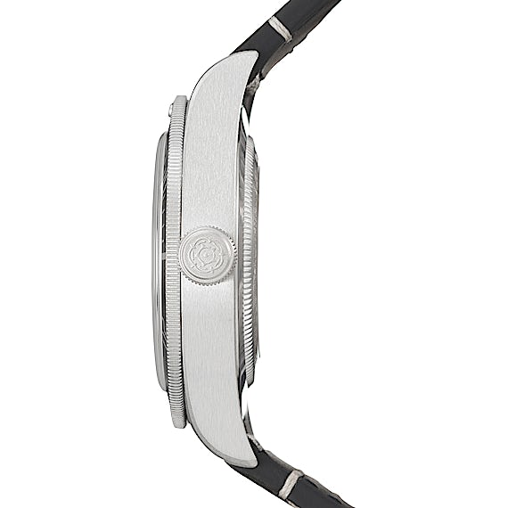 Tudor Black Bay 79010SG  Tudor Black Bay 79010SG