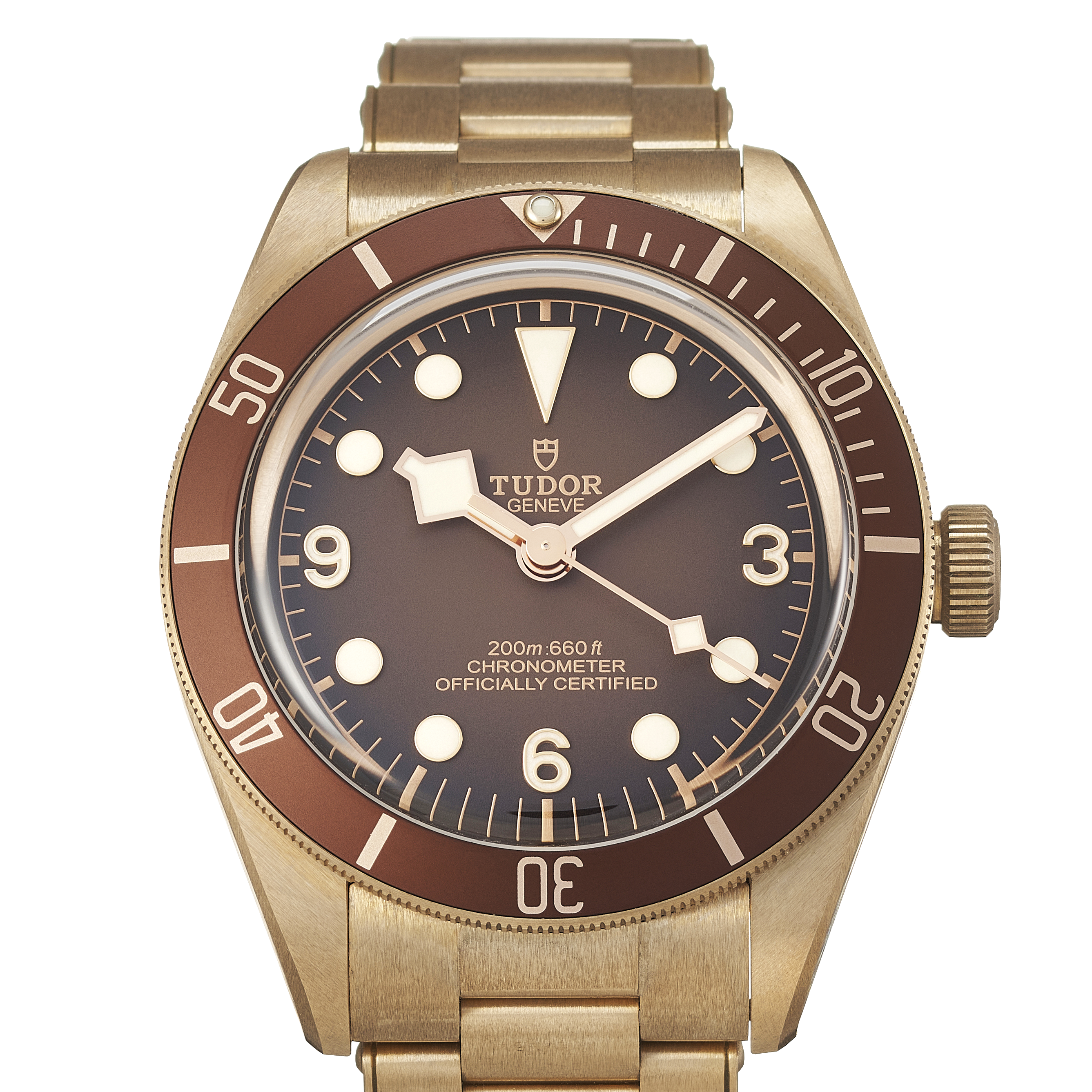 Tudor Black Bay