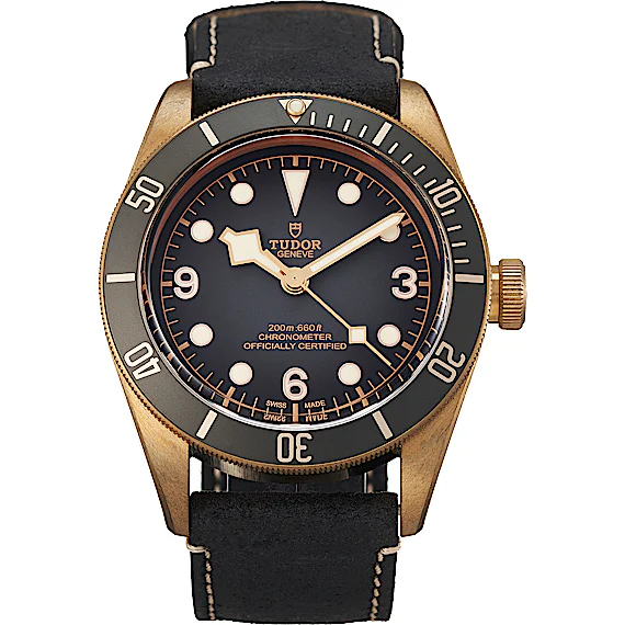 Tudor Black Bay 79250BA Tudor Black Bay 79250BA