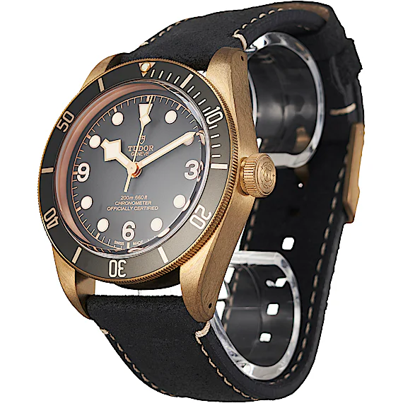 Tudor Black Bay 79250BA Tudor Black Bay 79250BA