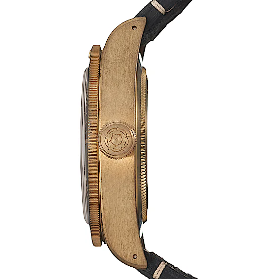 Tudor Black Bay 79250BA Tudor Black Bay 79250BA