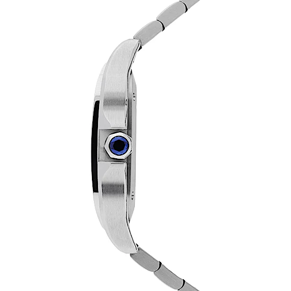 Cartier Santos WSSA0029 Cartier Santos WSSA0029