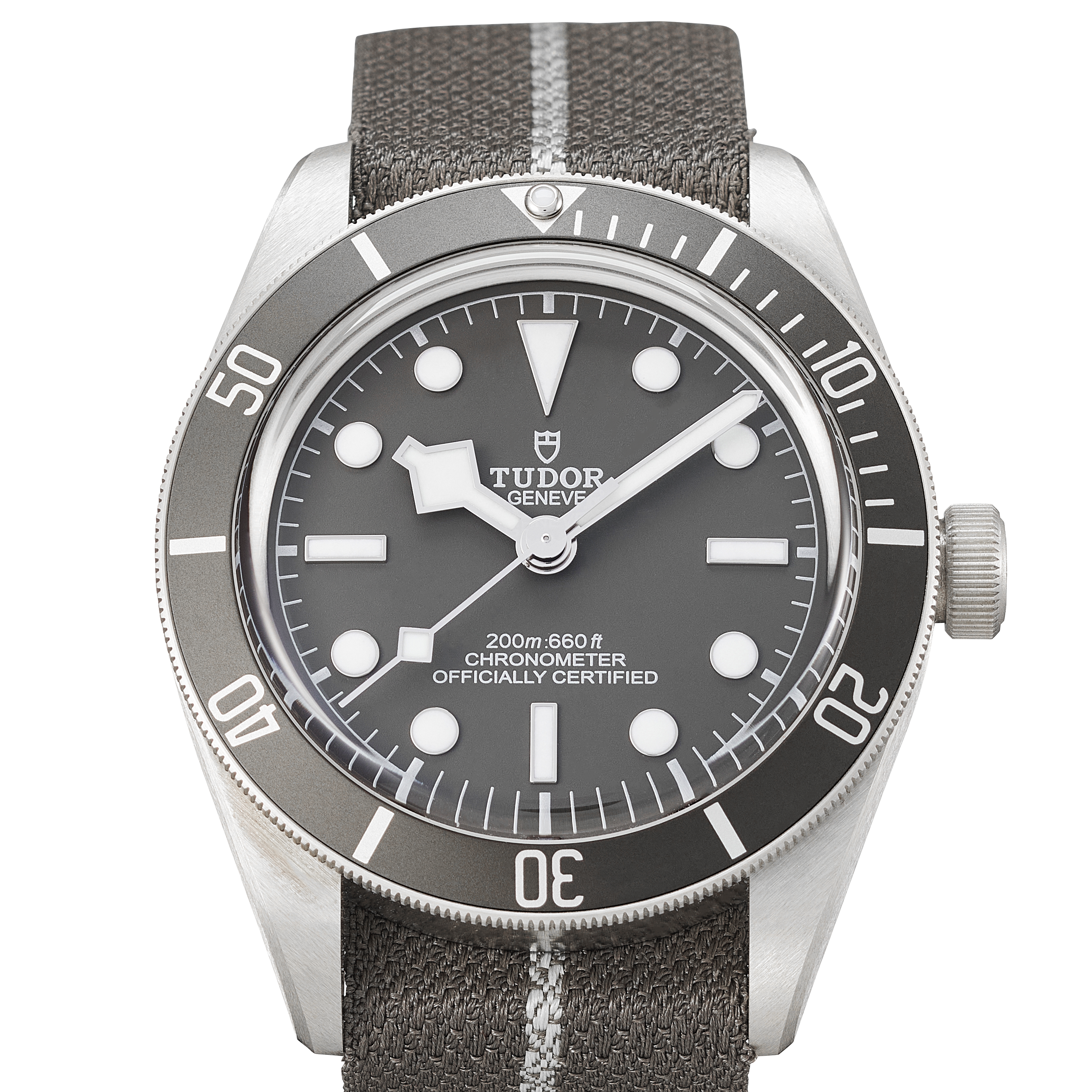 Tudor Black Bay 79010SG