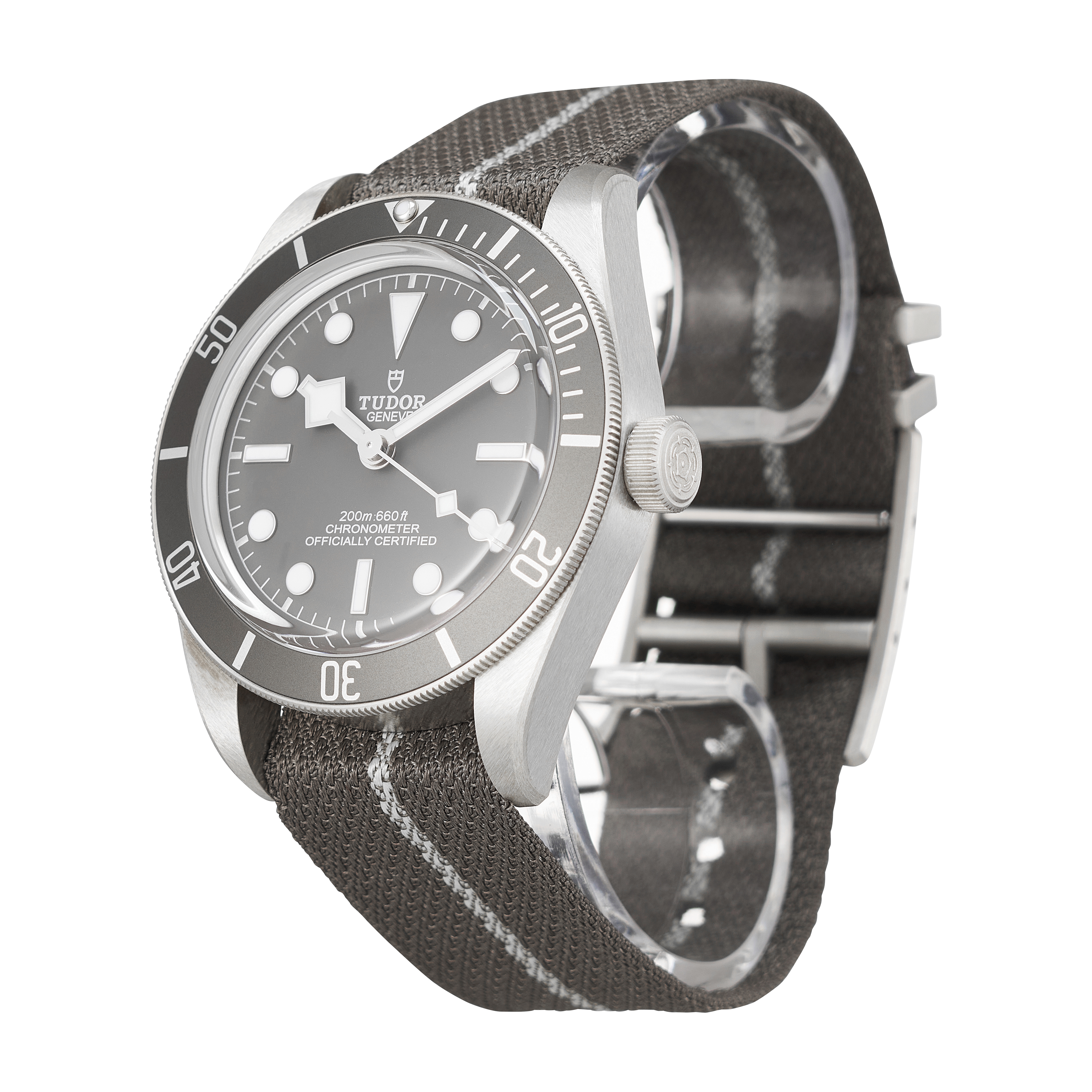 Tudor Black Bay 79010SG
