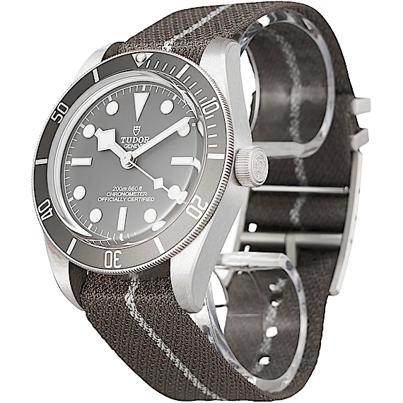 Tudor Black Bay 79010SG Tudor Black Bay 79010SG