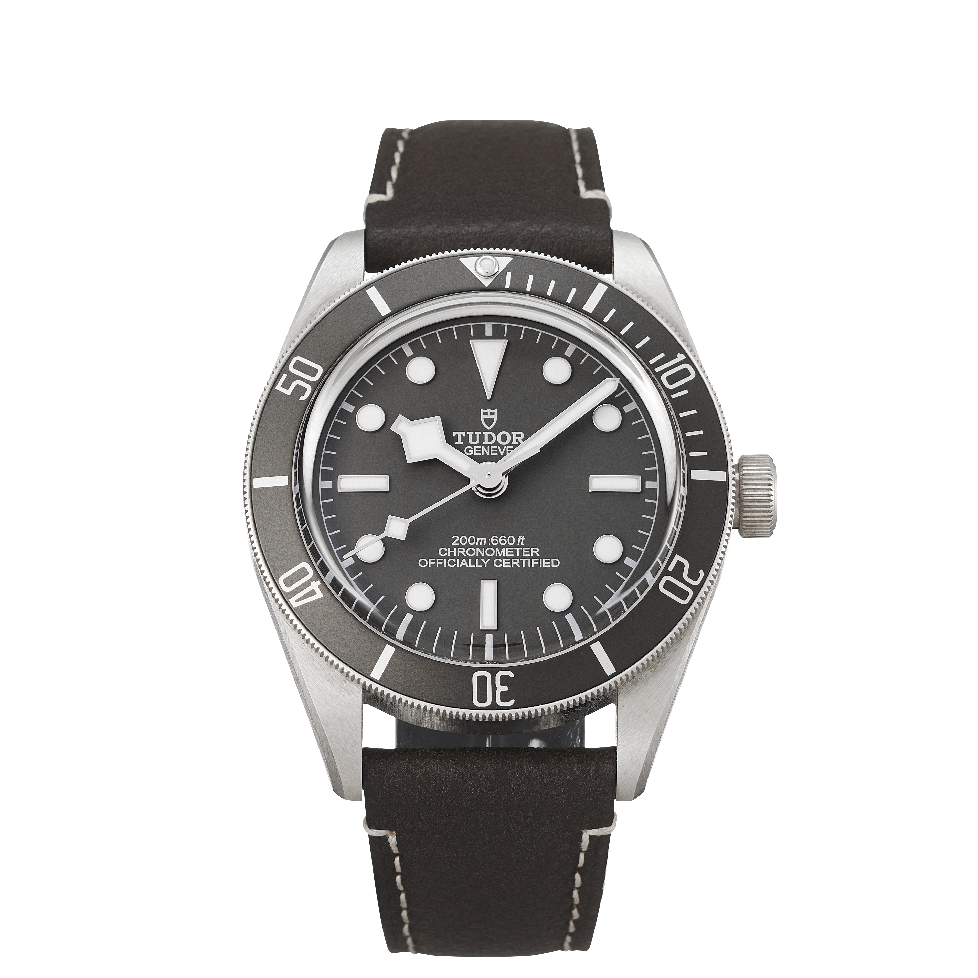 Tudor Black Bay 79010SG