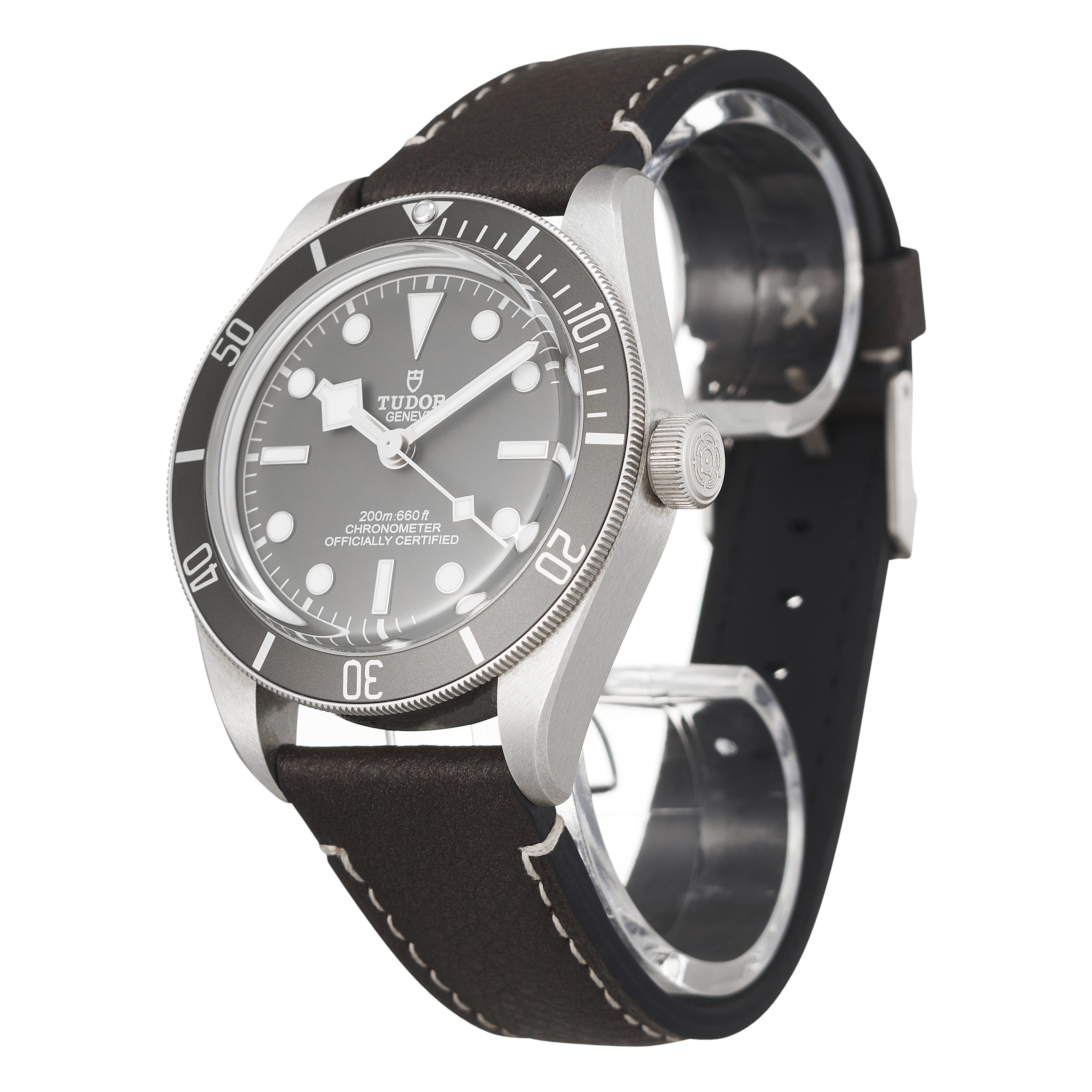 Tudor Black Bay 79010SG