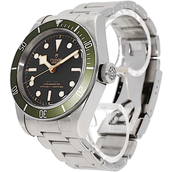 Tudor Black Bay 79230G Tudor Black Bay 79230G