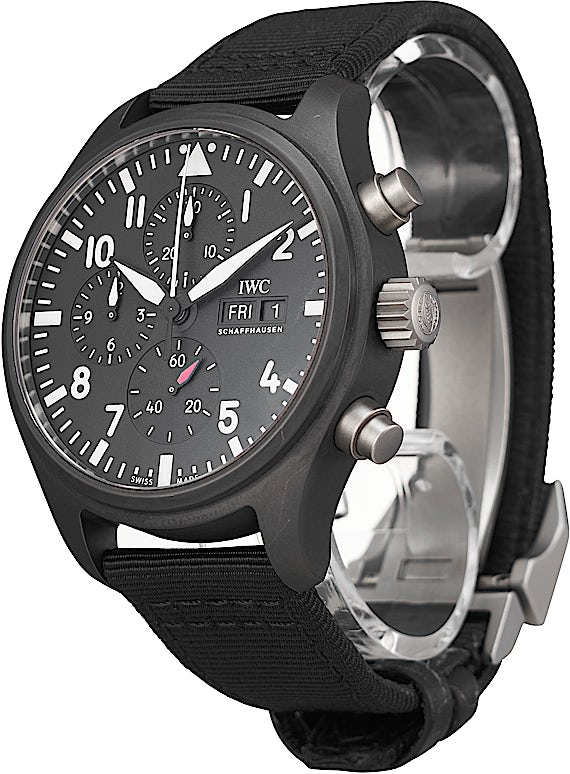 IWC Pilot's Watch IW389101
