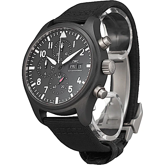 IWC Pilot's Watch IW389101 IWC Pilot's Watch IW389101