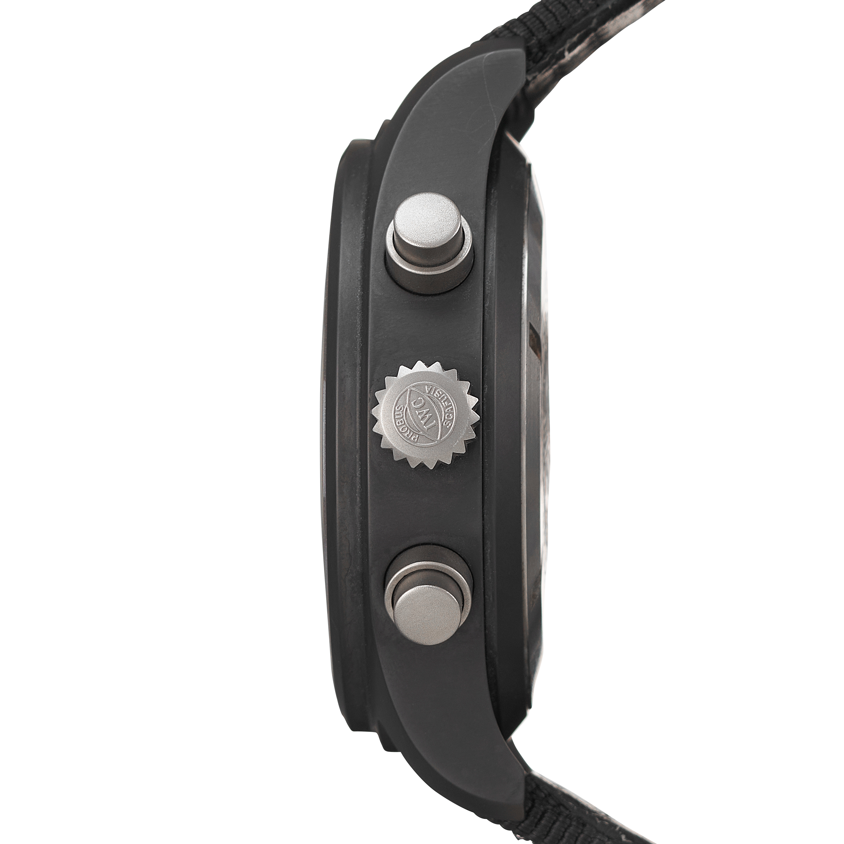 IWC Pilot's Watch IW389101