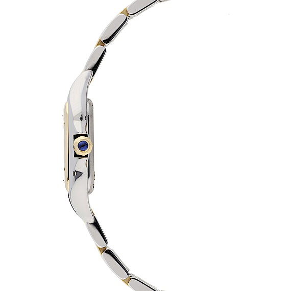 Cartier Panthère W2PN0006 Cartier Panthère W2PN0006