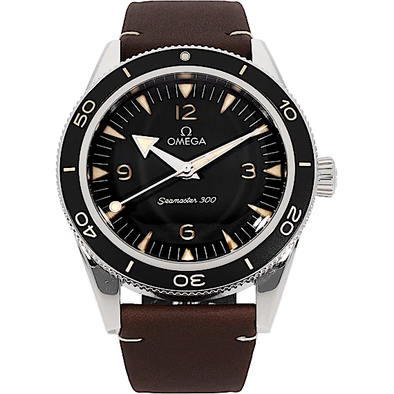 Omega Seamaster 234.32.41.21.01.001 Omega Seamaster 234.32.41.21.01.001
