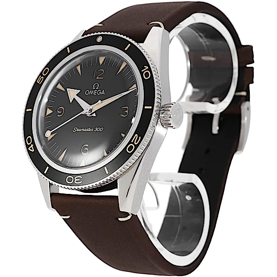 Omega Seamaster 234.32.41.21.01.001 Omega Seamaster 234.32.41.21.01.001