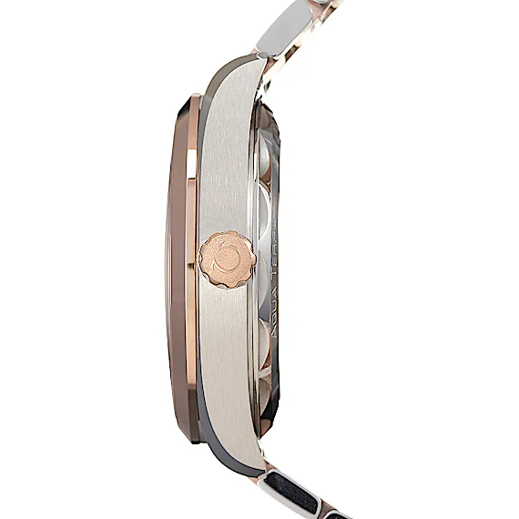 Omega Seamaster 220.20.41.21.06.001 Omega Seamaster 220.20.41.21.06.001