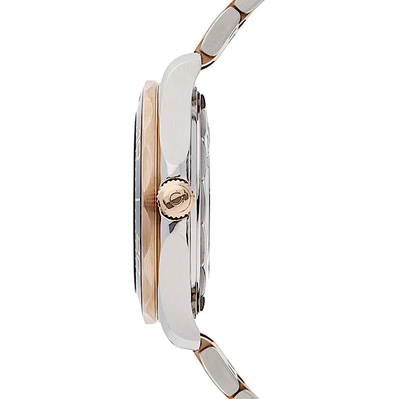 Omega Seamaster 210.20.42.20.01.001 Omega Seamaster 210.20.42.20.01.001