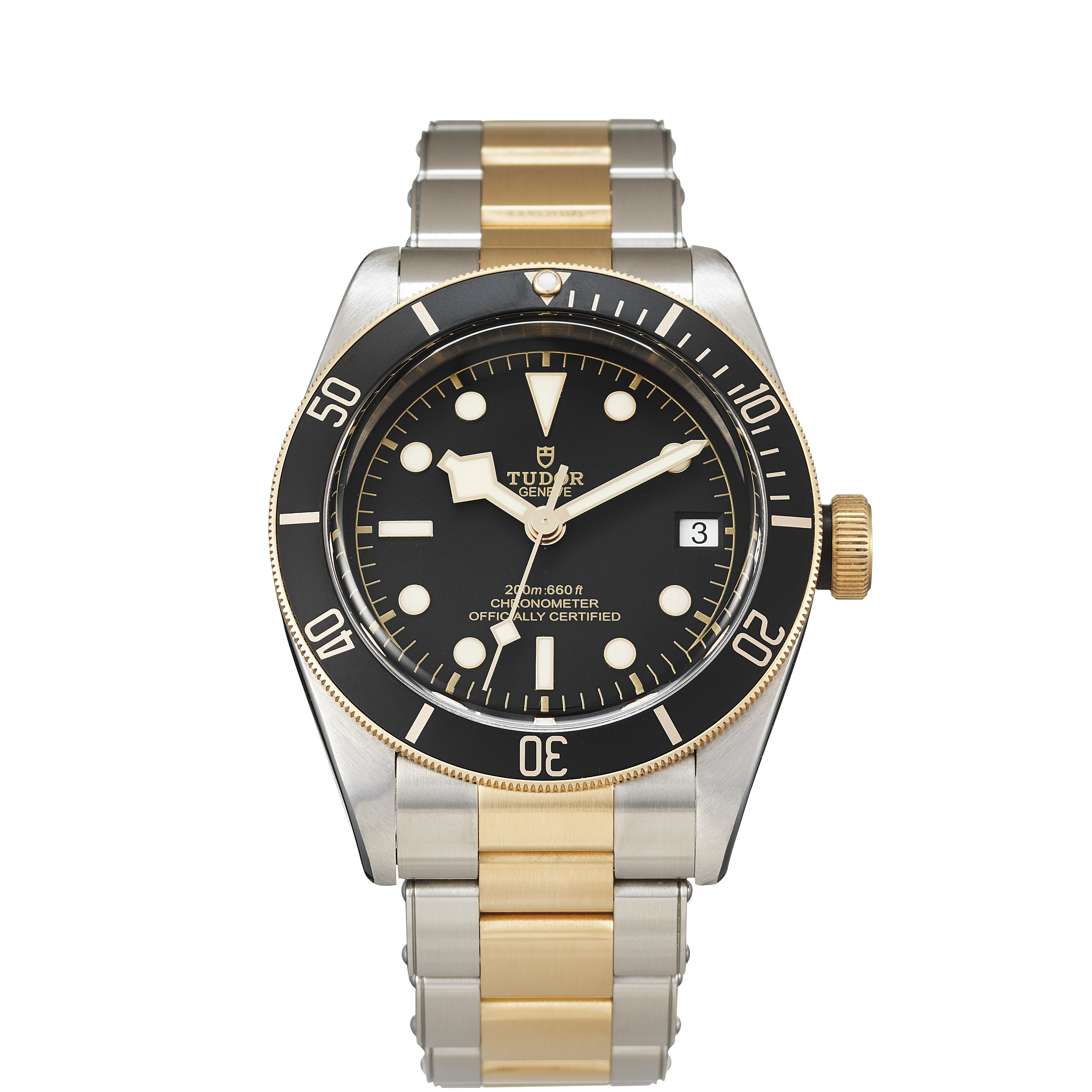 Tudor Black Bay 79733N