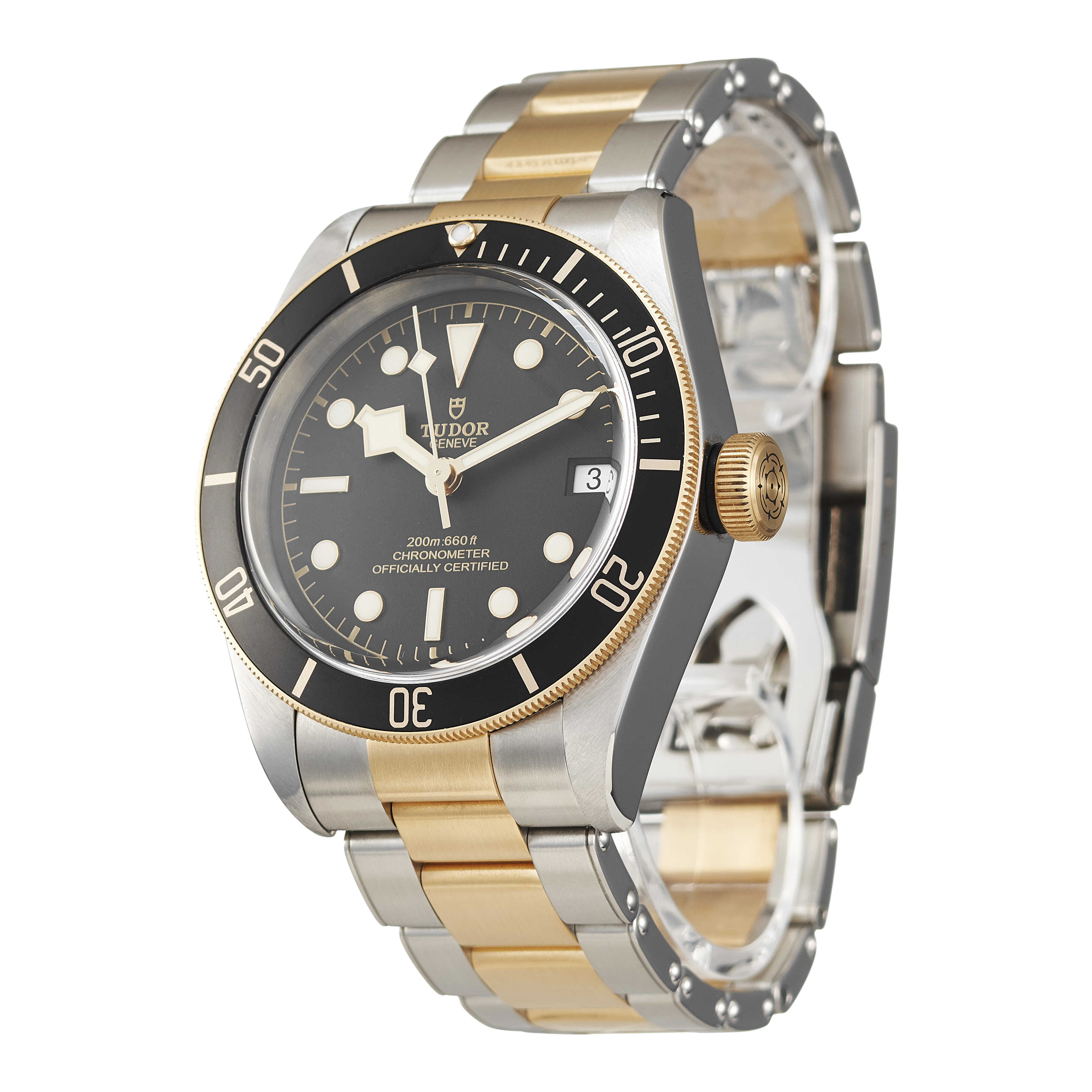 Tudor Black Bay 79733N