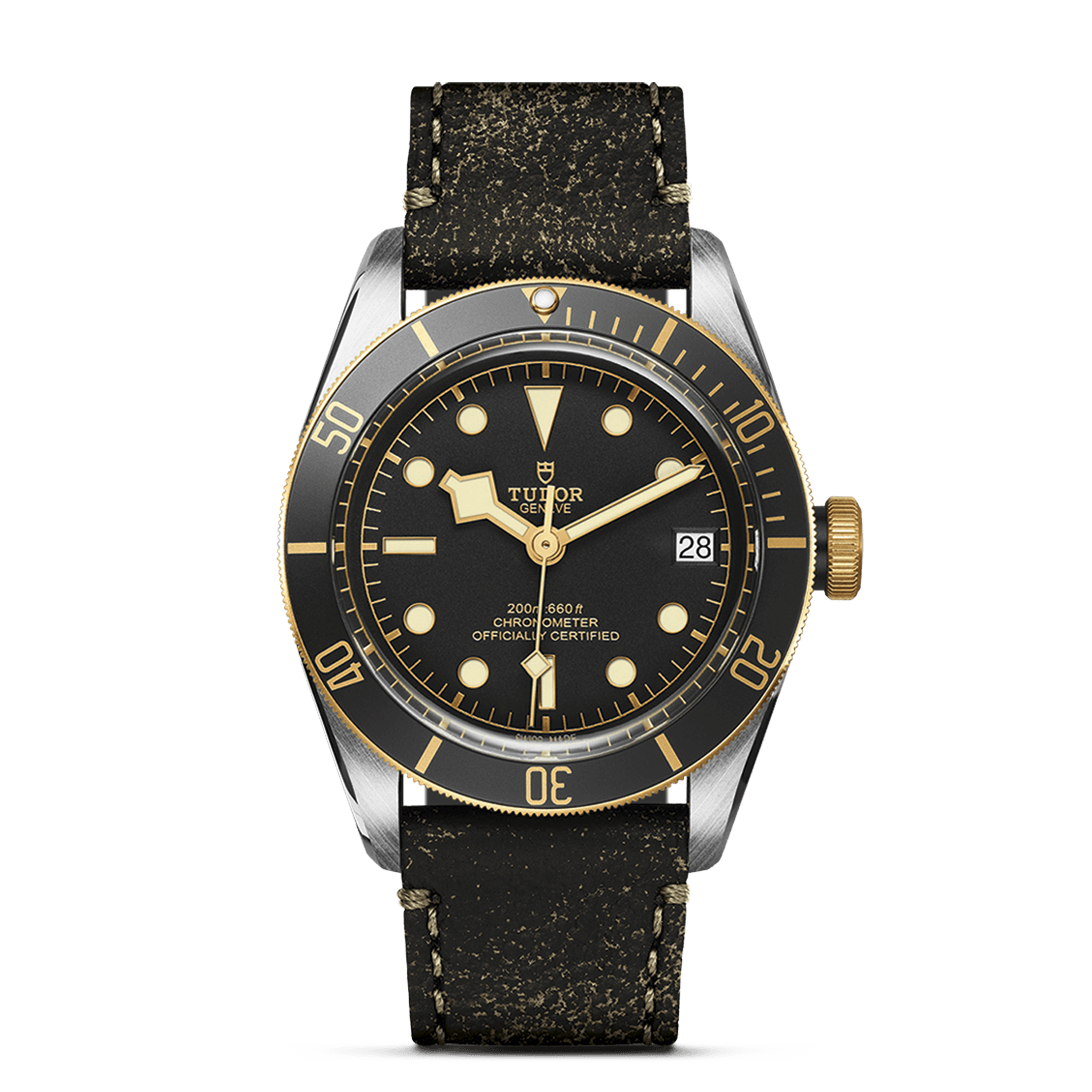 Tudor Black Bay 79733N