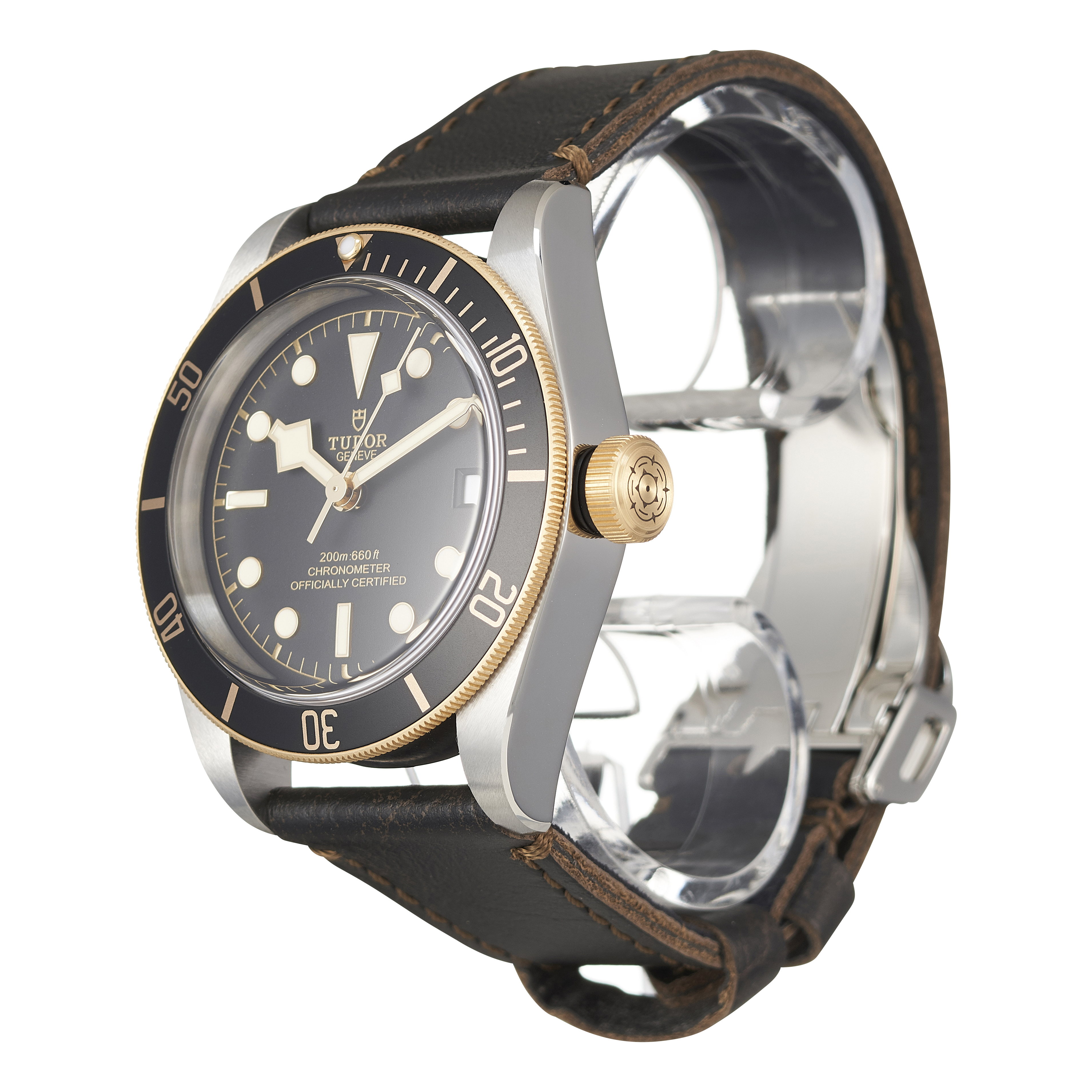 Tudor Black Bay 79733N