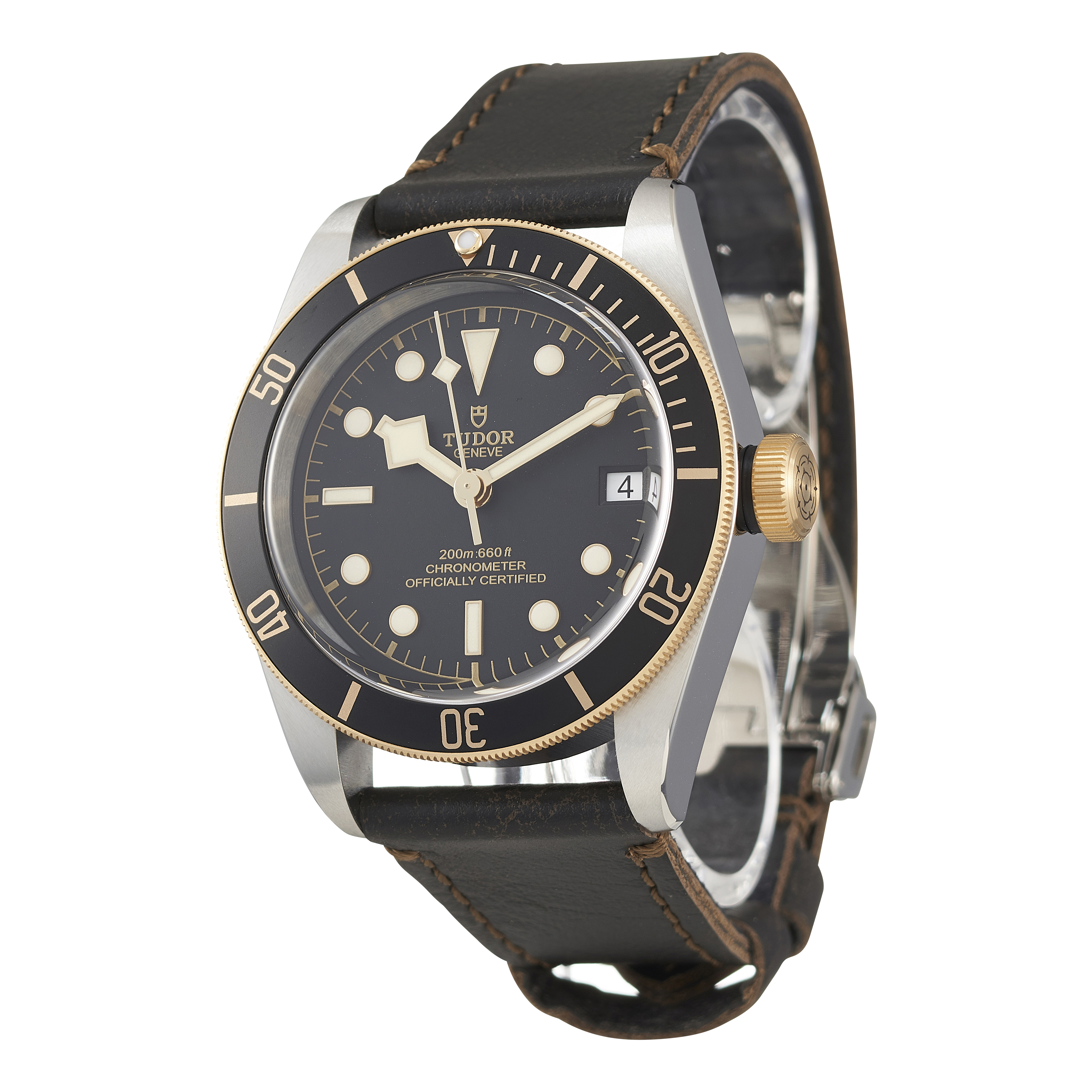 Tudor Black Bay 79733N