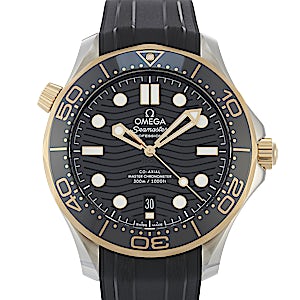 Omega Seamaster 210.22.42.20.01.001