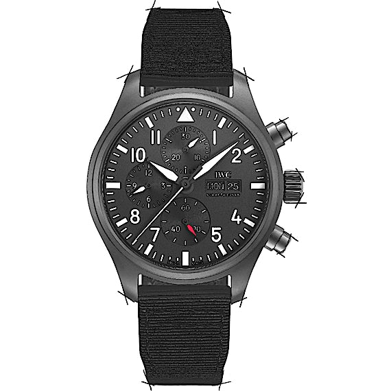 IWC Pilot's Watch IW389101 IWC Pilot's Watch IW389101