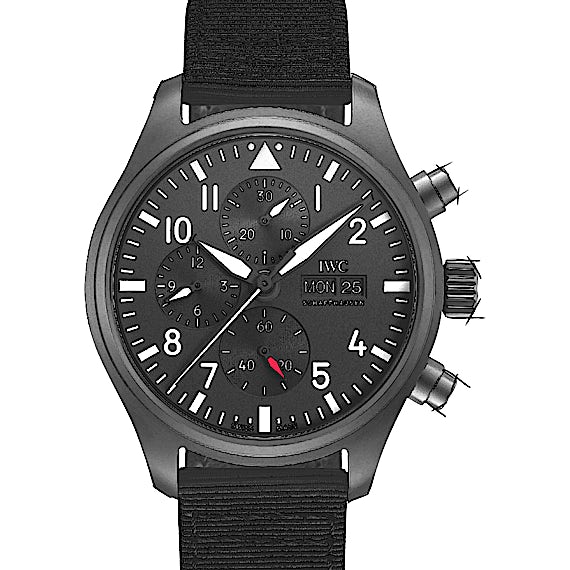 IWC Pilot's Watch IW389101 IWC Pilot's Watch IW389101