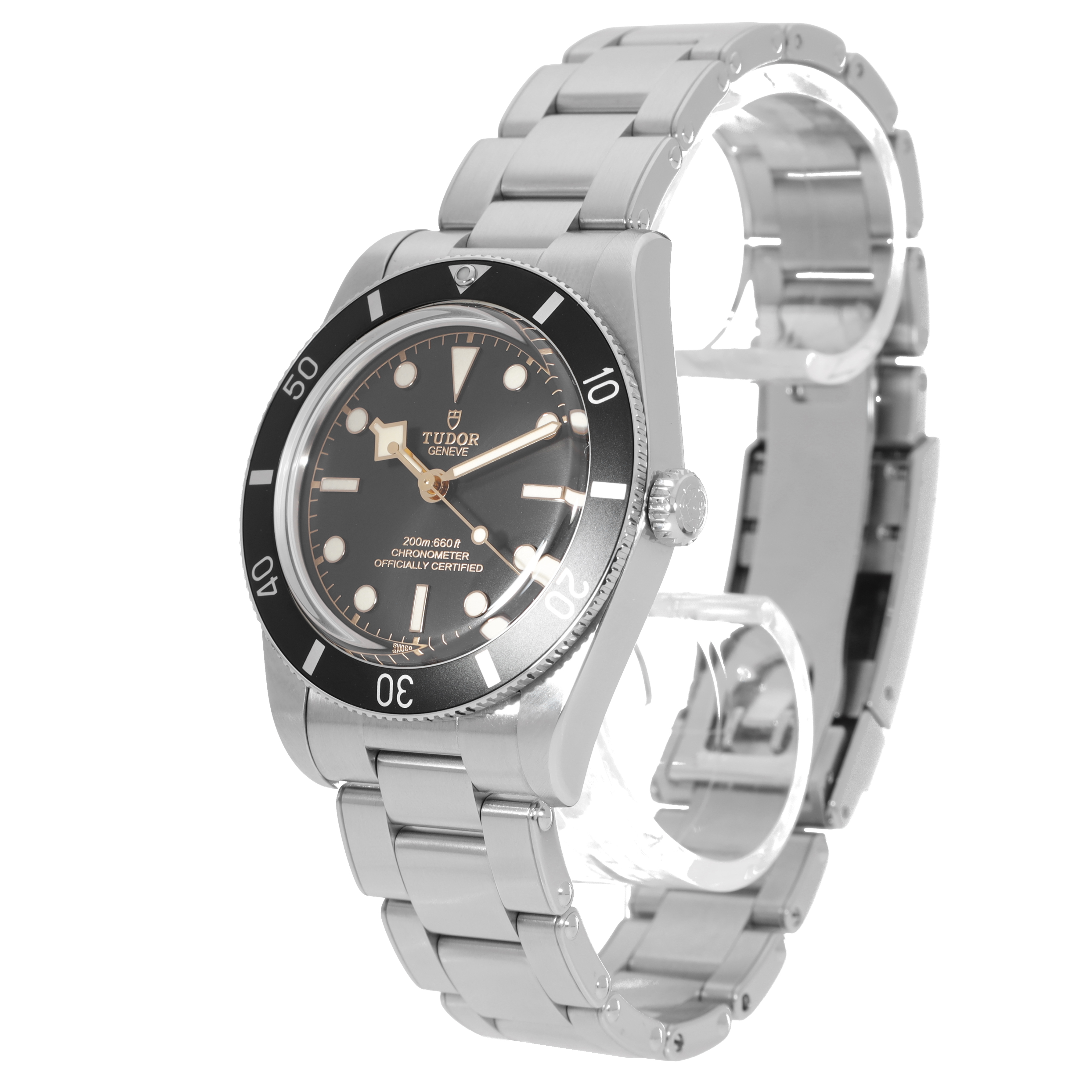 Tudor Black Bay 79000N