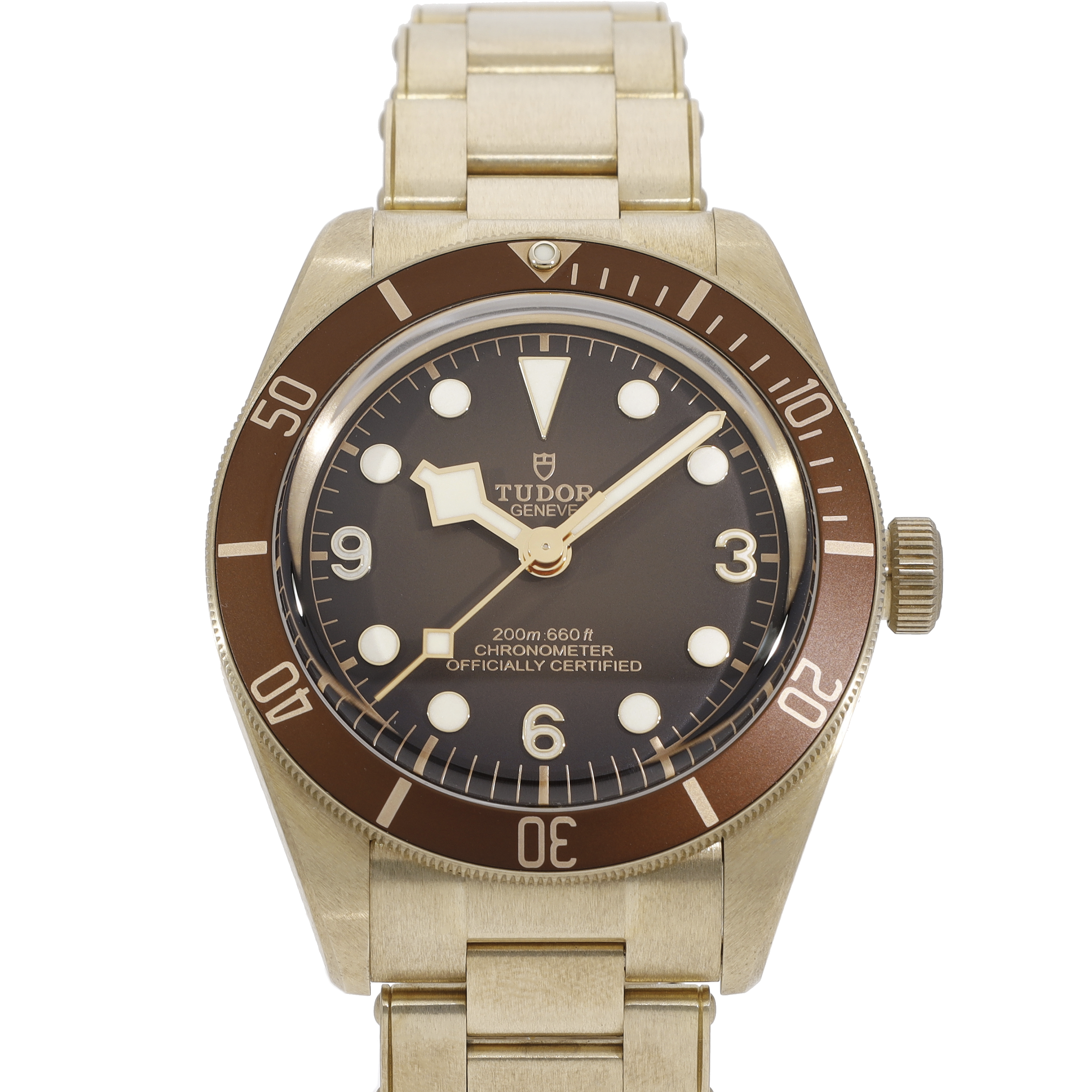 Tudor Black Bay