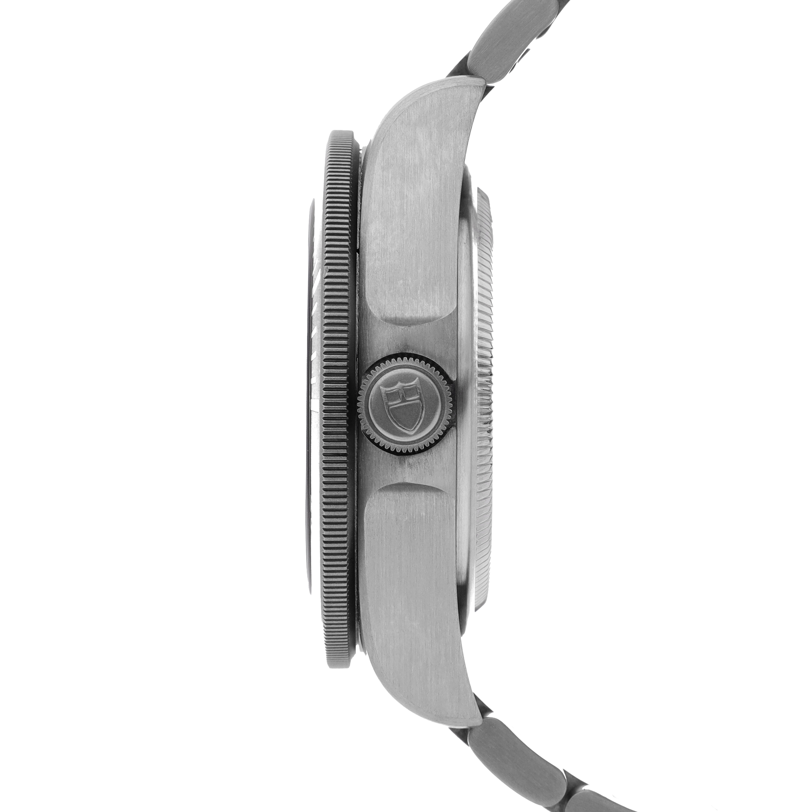 Tudor Pelagos 25600TN