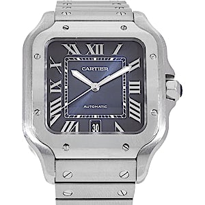 Cartier Santos WSSA0030 Cartier Santos WSSA0030