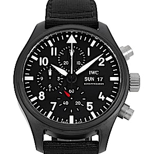 IWC Pilot's Watch IW389101