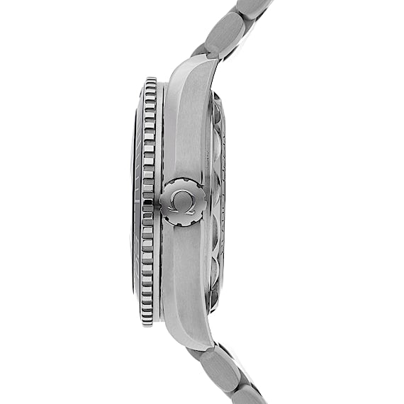 Omega Seamaster 215.30.44.21.01.001 Omega Seamaster 215.30.44.21.01.001