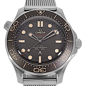 Omega Seamaster 210.90.42.20.01.001