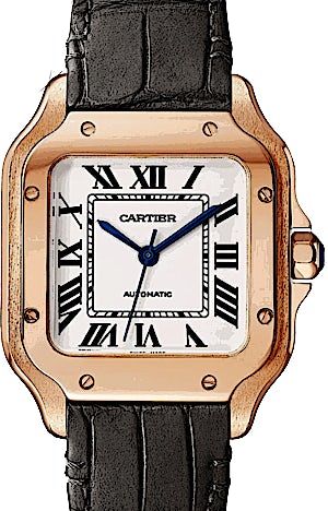Cartier Santos WGSA0028