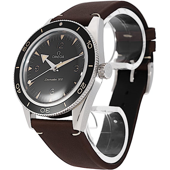 Omega Seamaster 234.32.41.21.01.001 Omega Seamaster 234.32.41.21.01.001