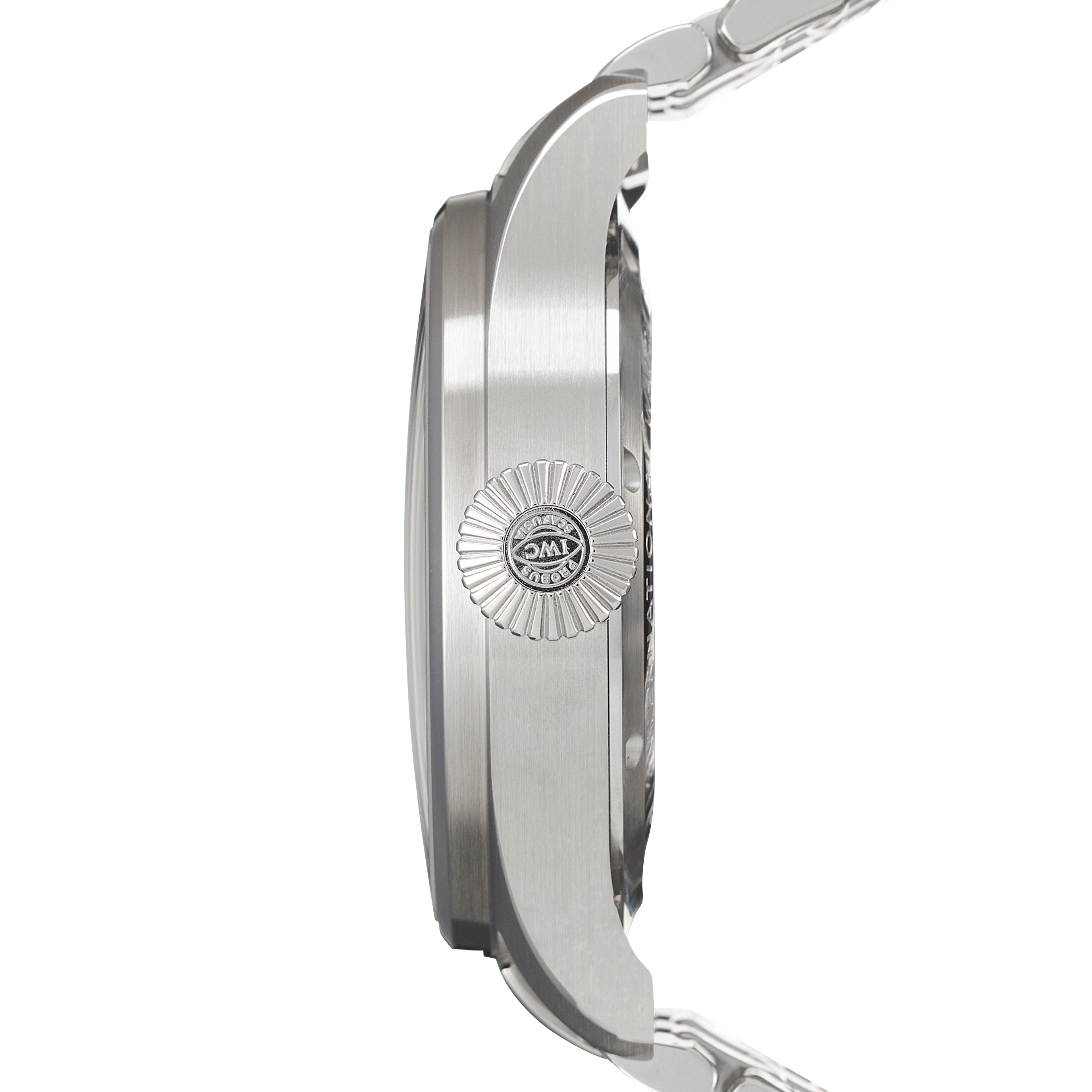 IWC Pilot's Watch IW329304